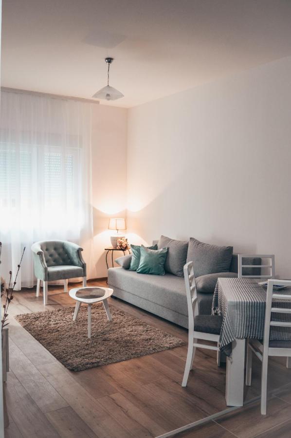 Apartman Lena Баня-Ковиляча Экстерьер фото