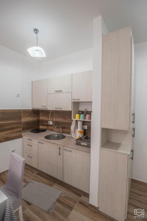 Apartman Lena Баня-Ковиляча Экстерьер фото