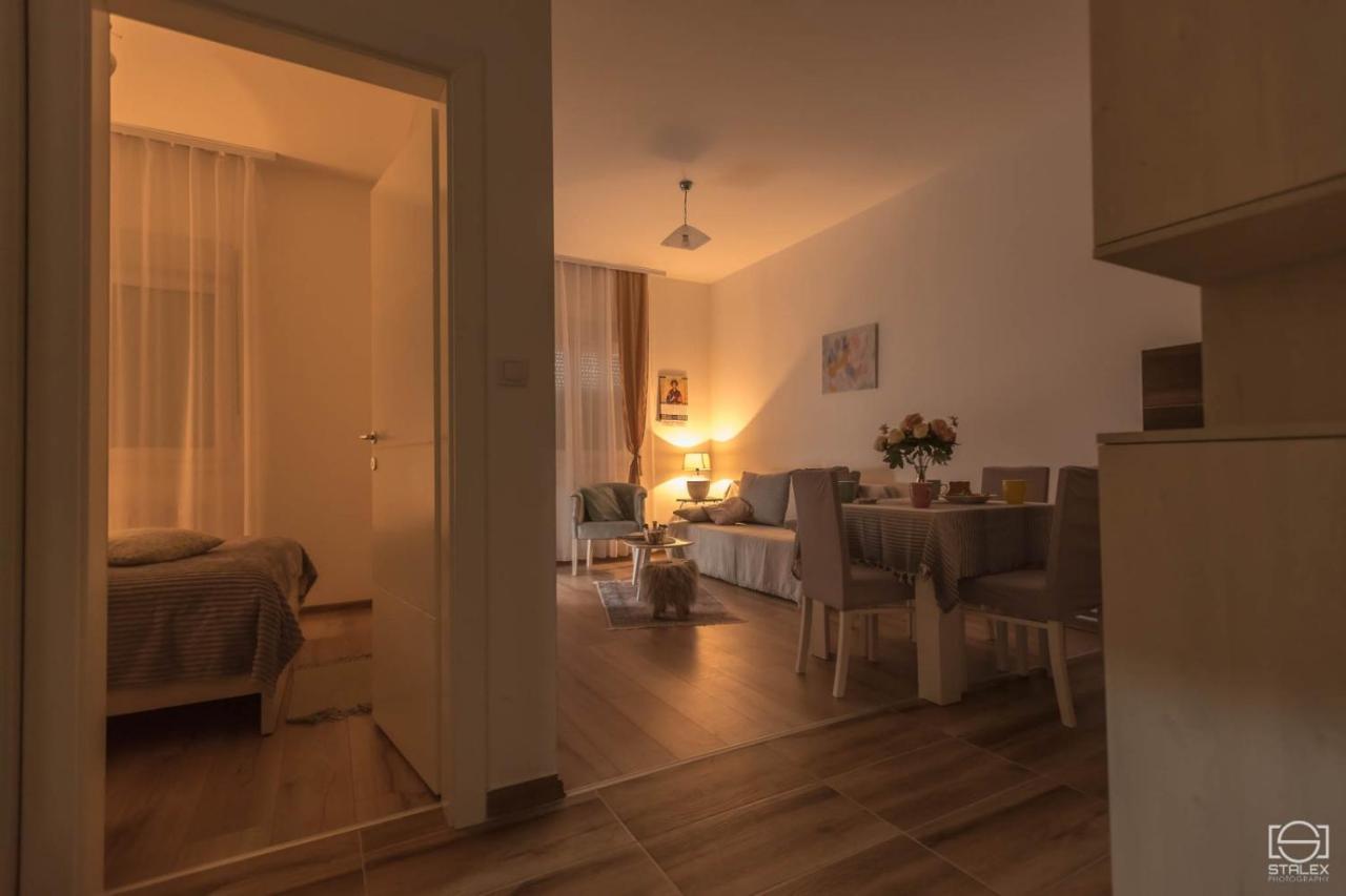 Apartman Lena Баня-Ковиляча Экстерьер фото